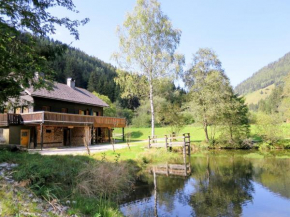Chalet Fischerhütte - STN100 Sankt Nikolai Im Soelktal